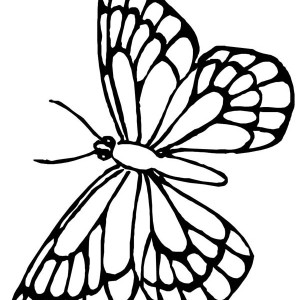 300x300 Download Online Coloring Pages For Free