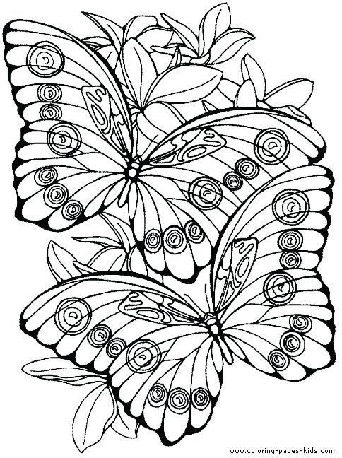 484x648 Butterflies Pictures To Color Shamrock Butterfly Butterflies
