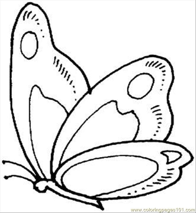 650x706 Butterfly 9 Coloring Page Coloring Page