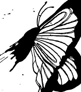 264x300 Butterfly Abstract Drawings