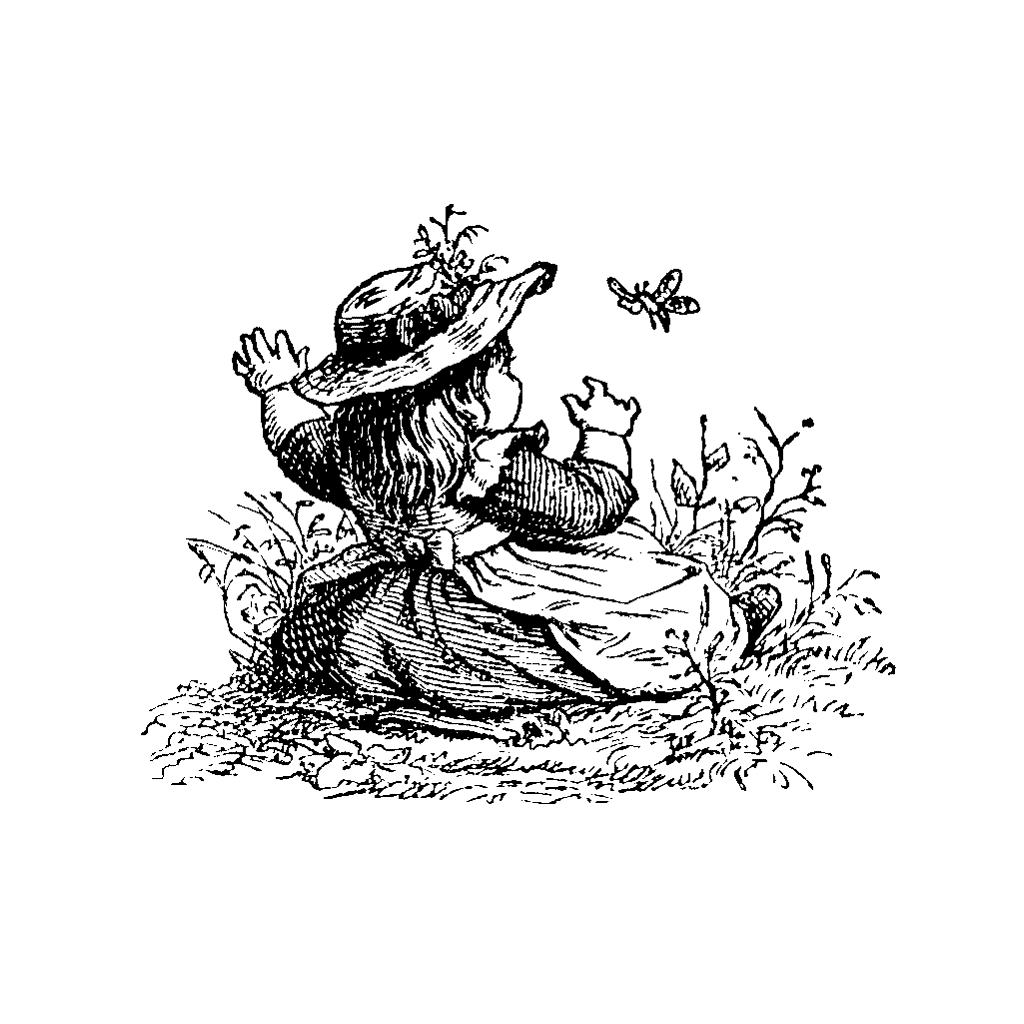 1024x1024 Butterfly Girl 130d Butterfly, Grasses And Girls