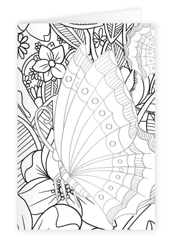 571x800 Colorista Pencil Card Kit