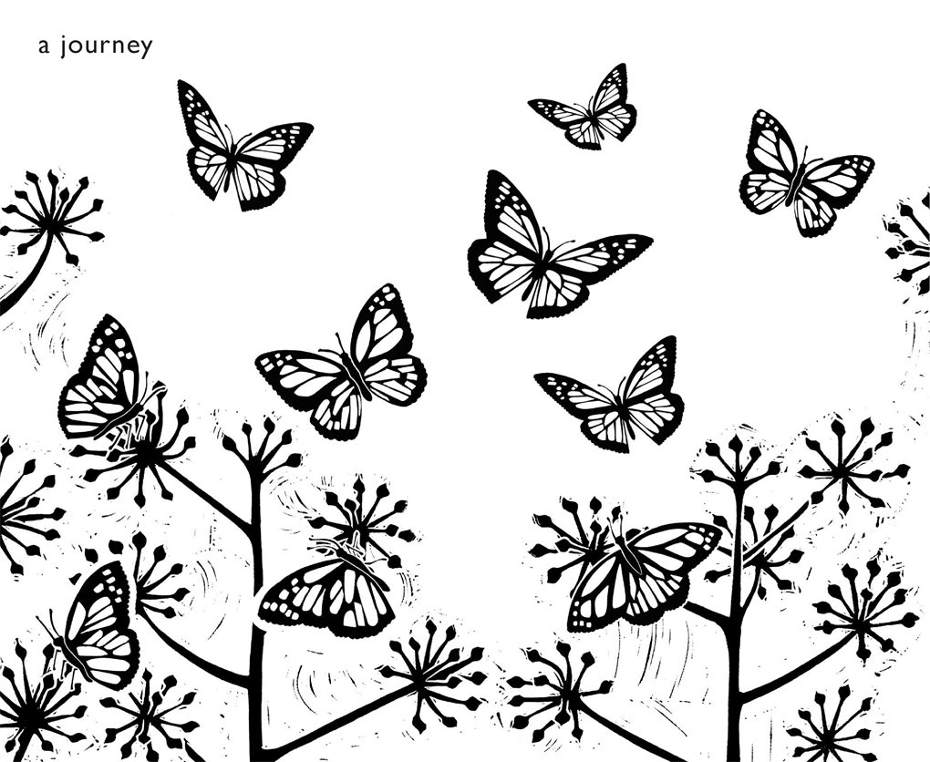 1020x836 The Butterfly Garden By Laura Weston (Big Picture Press)