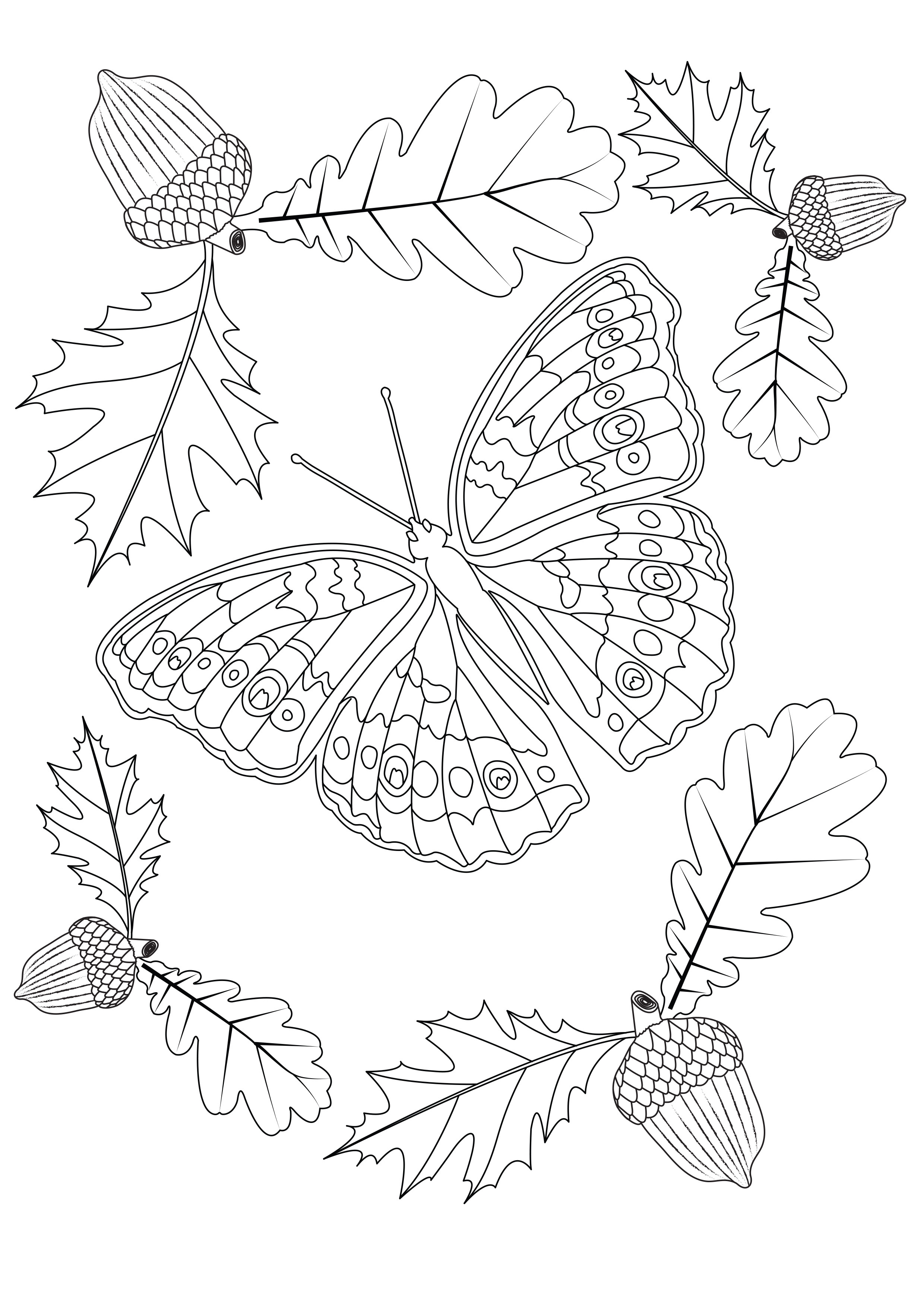 2480x3508 Autumn Butterfly Butterflies Amp Insects
