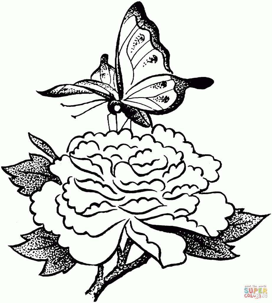 921x1024 Beautiful Butterflies And Flowers Coloring Pages Animal Coloring