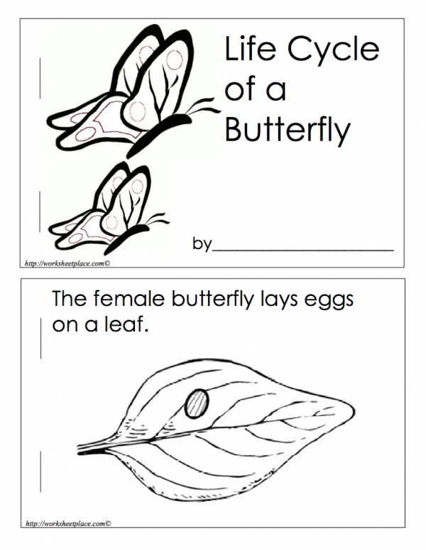 600x775 Life Cycle Of A Butterfly Book (Free Printable Pdf)