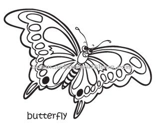 313x270 Life Cycle Of The Butterfly