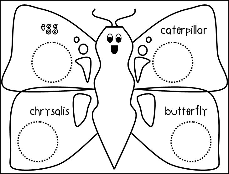 731x555 The Art Of Teaching A Kindergarten Blog Butterflies!