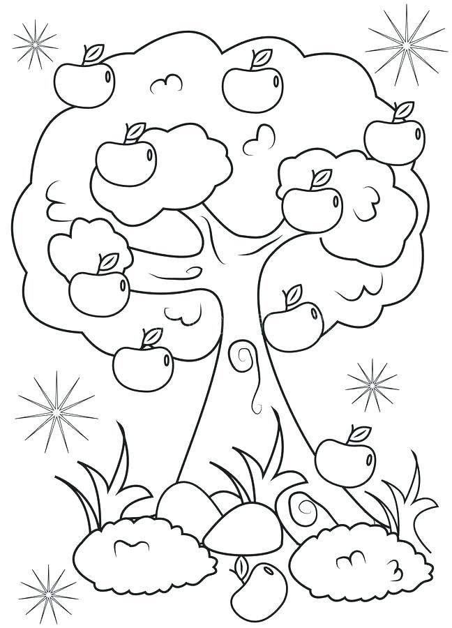 648x900 Caterpillar To Butterfly Life Cycle Coloring Pages