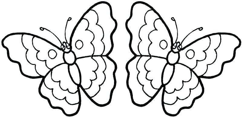 800x389 Coloring Pages Butterfly