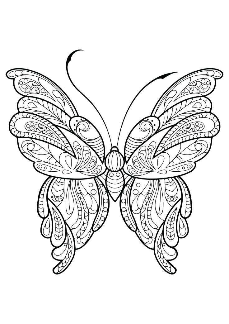 736x1040 Butterfly Coloring Books Also Butterflies Coloring Pages Adult