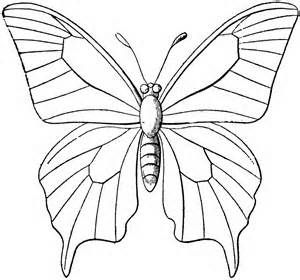 Monarch Butterfly Line Drawing at GetDrawings | Free download