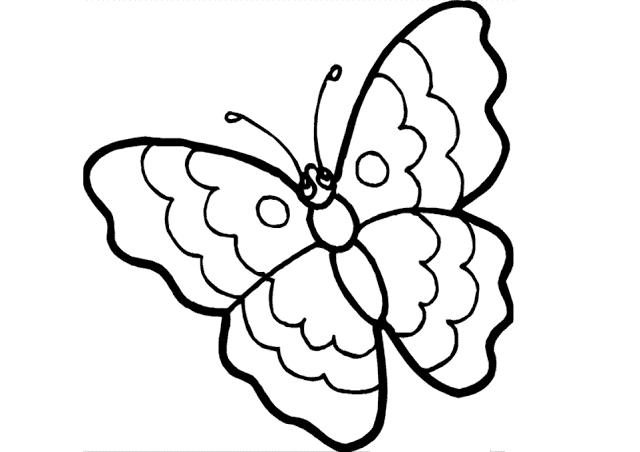 640x452 Colour Drawing Free Wallpaper Beautiful Butterfly Coloring
