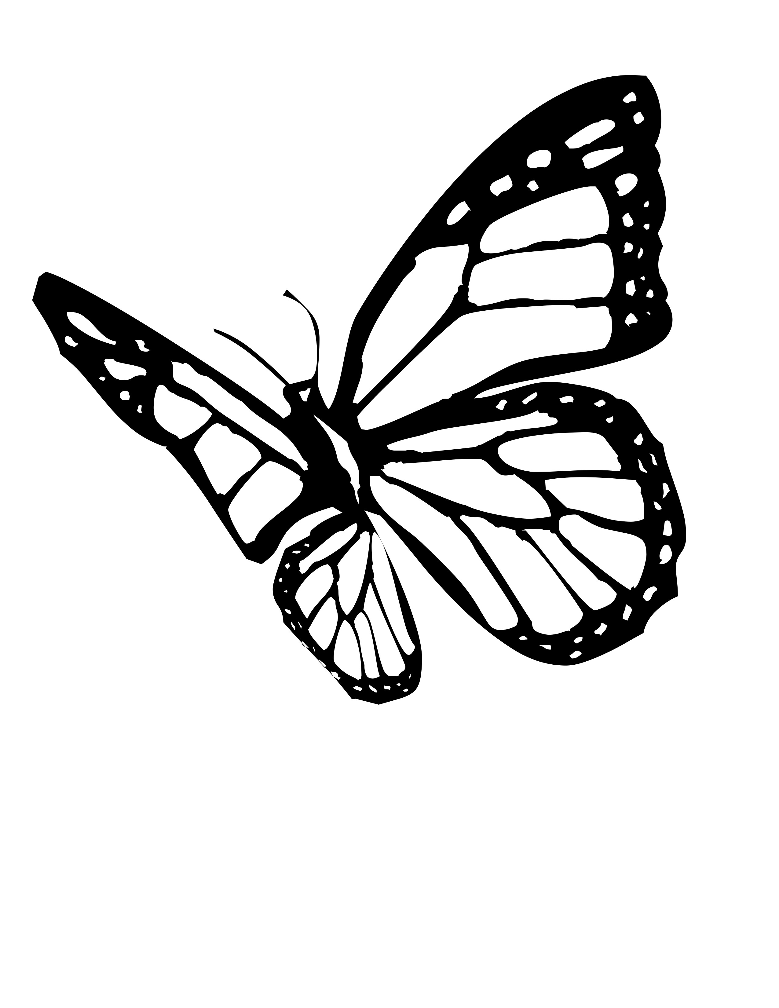 2550x3300 Monarch Butterfly Line Drawing