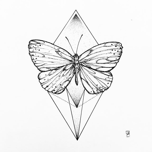 640x640 The Best Butterfly Line Drawing Ideas On Paisley