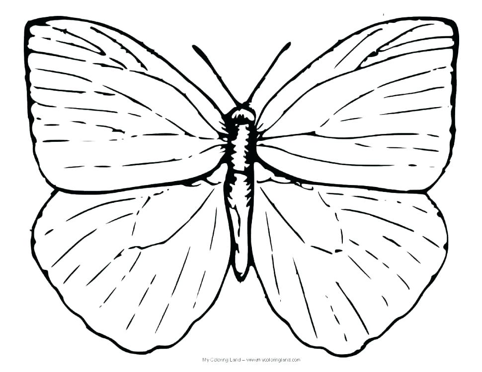 970x750 Butterfly Coloring Pages Printable Butterfly Coloring Pages Cute