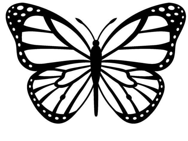 628x472 Butterfly Drawings Butterfly Drawings