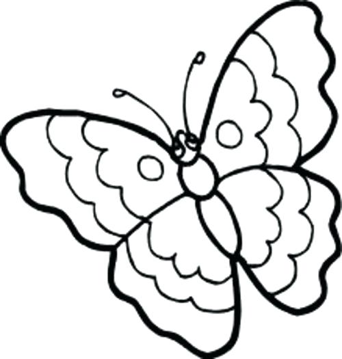 500x525 Butterfly Clip Coloring Page Cute Butterfly Line Drawing Butterfly