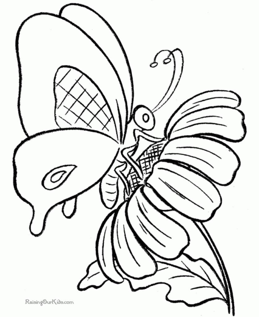 837x1024 Coloring Page Butterfly Net Coloring Sheets
