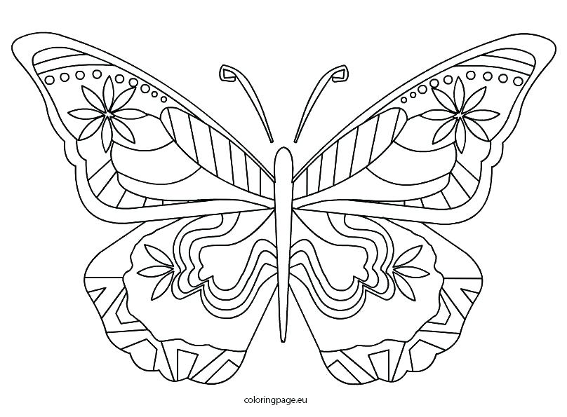 808x595 Top Butterflies Coloring Pages Kids Page Of Butterfly Net Butterf