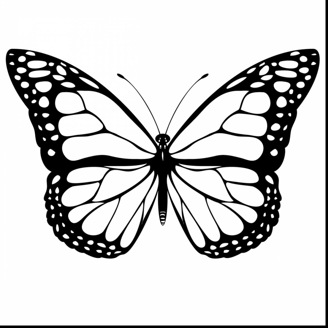 1320x1320 Superb Monarch Butterfly Coloring Pages With Coloring Pages