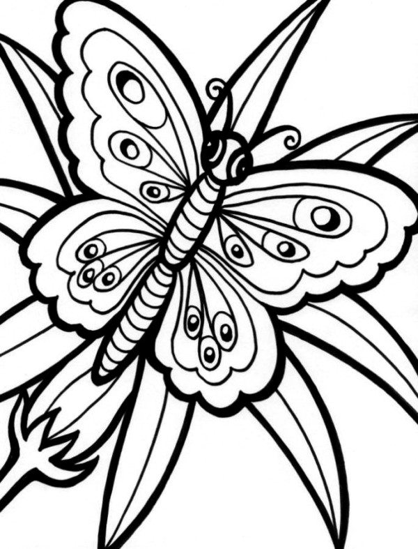 600x787 Butterfly Flower Coloring Pages Cute
