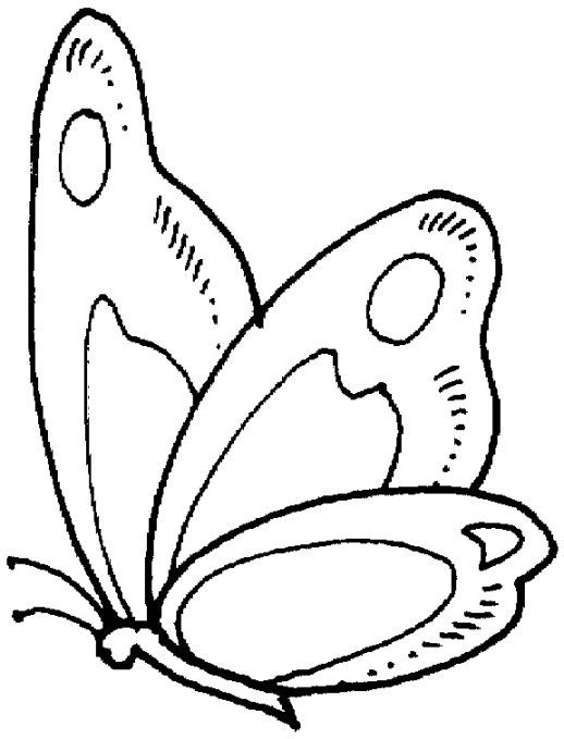 518x679 Flower With Butterfly Coloring Pages Good Flower With Butterfly