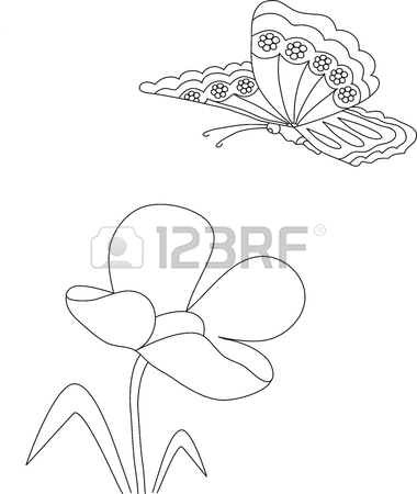 380x450 Manual Pencil Drawing Of A Flower Bush Violet And A Butterfly