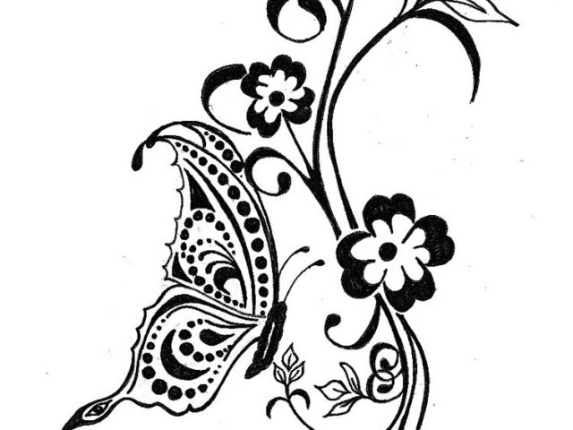 640x480 Butterfly And Flower Designs Butterfly And Flower Drawing Designs