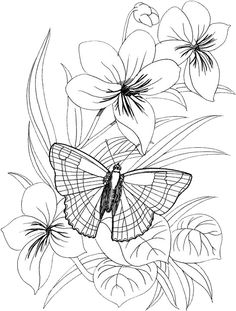 236x311 Digital Two For Tuesday Beautiful Flower Designs For Embroidery