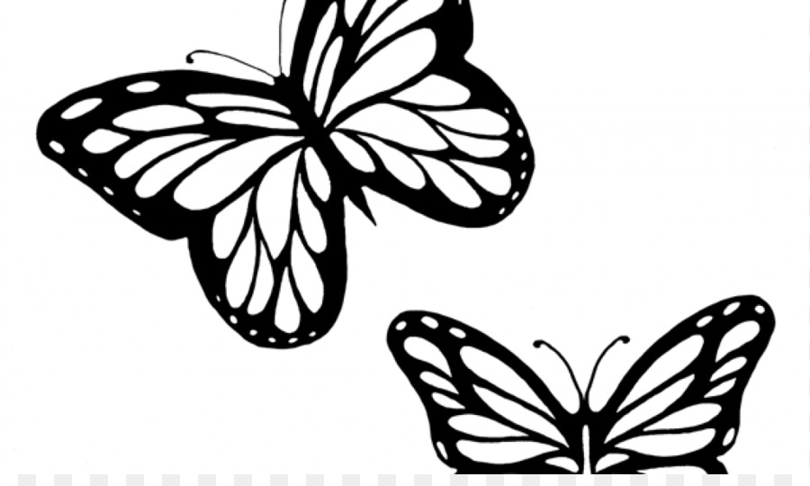 900x540 Monarch Butterfly Outline Drawing Clip Art