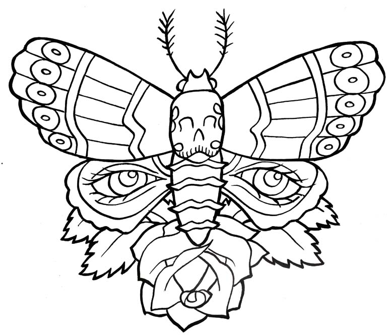 776x665 Outline Of A Butterfly