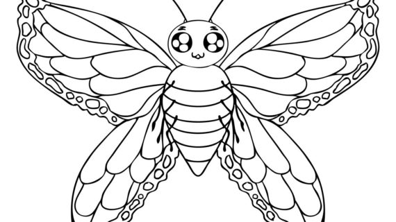 570x320 Simple Drawing Of Butterfly How To Draw A Butterfly, Outline