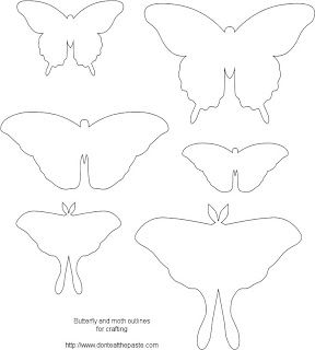 Butterfly Outline Drawing at GetDrawings | Free download