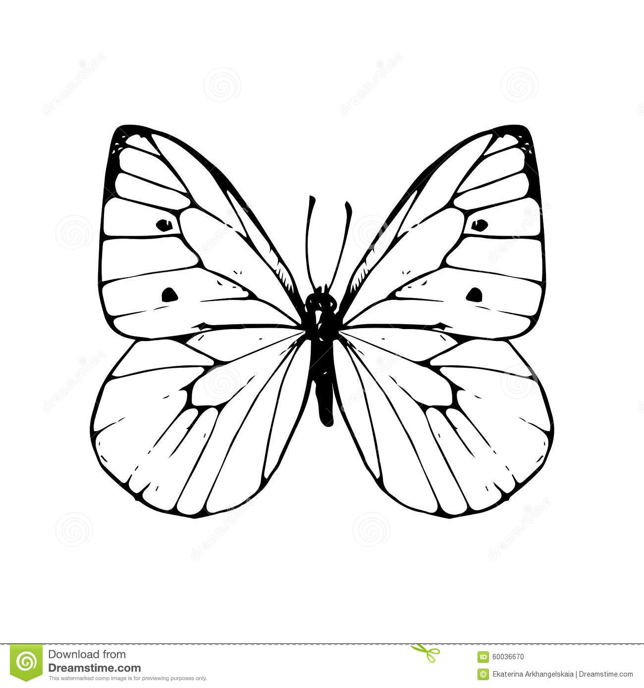 1300x1390 Drawn Line Butterfly