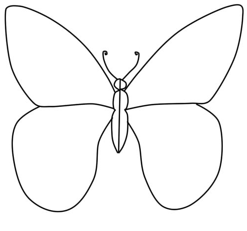 Butterfly Pencil Drawing at GetDrawings | Free download