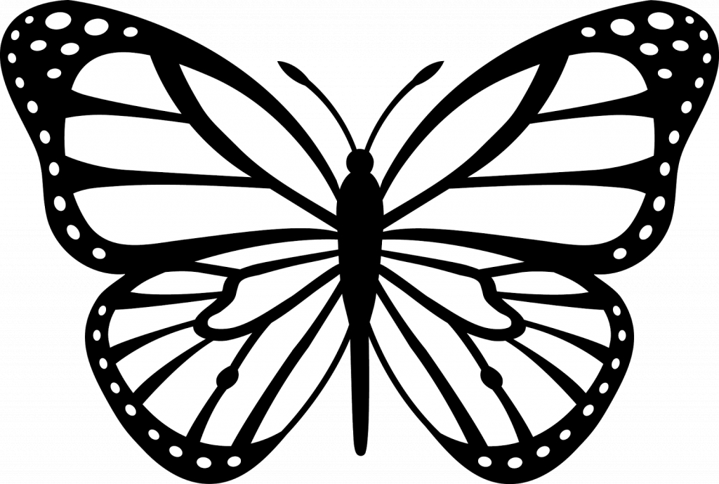 1024x689 Cartoon Drawing Butterfly News Butterfly Butterfly Cartoon Black