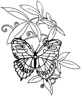270x319 Butterfly Drawings Let Your Creativity Fly In Easy Steps