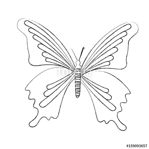 500x500 Sketch Draw Butterfly Cartoon Vector Graphic Design Stock Image