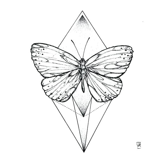 Butterfly Pictures Drawing at GetDrawings | Free download