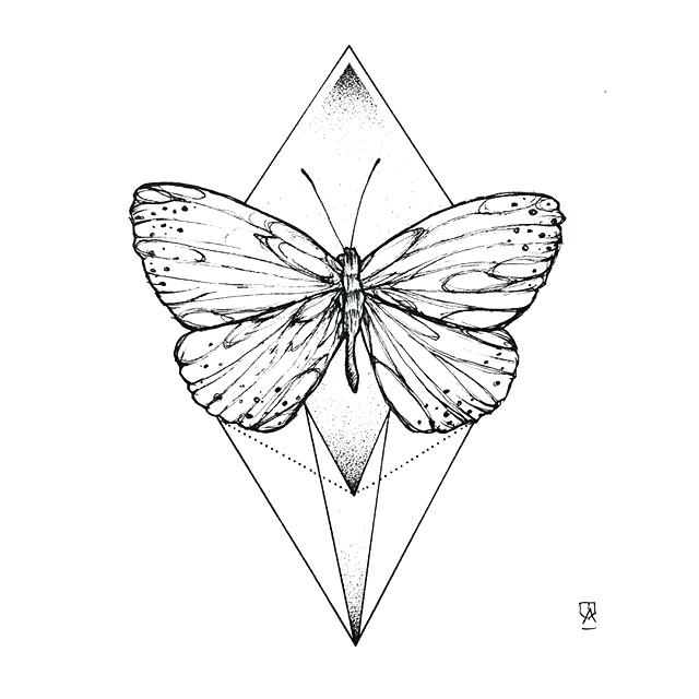 640x640 Butterflies To Draw Drawing A Butterfly Step 1 Butterflies