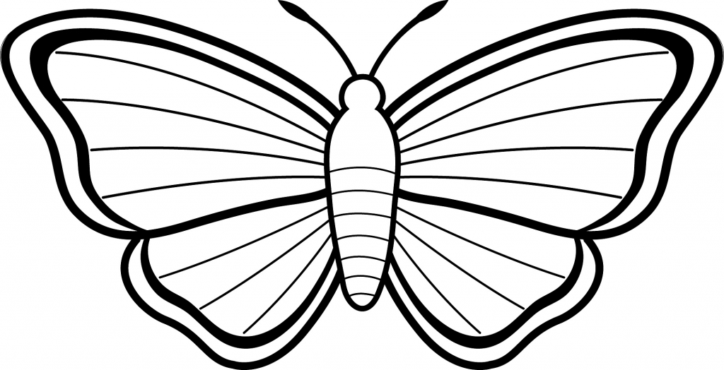 1024x524 Butterfly Drawing Easy Easy Drawings For Kids Butterfly Clipart