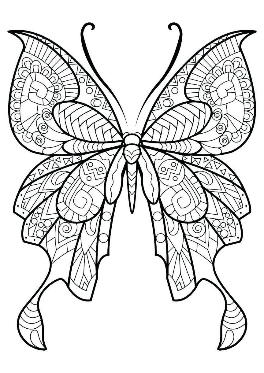 Butterfly Simple Drawing at GetDrawings | Free download