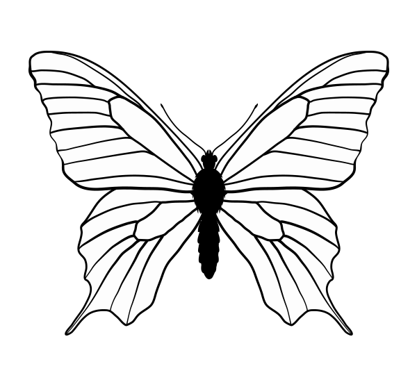 600x547 How To Draw Animals Butterflies, Their Anatomy And Wing Patterns