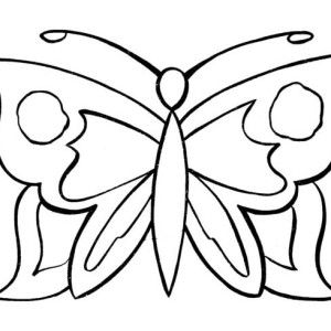 Butterfly Simple Drawing at GetDrawings | Free download