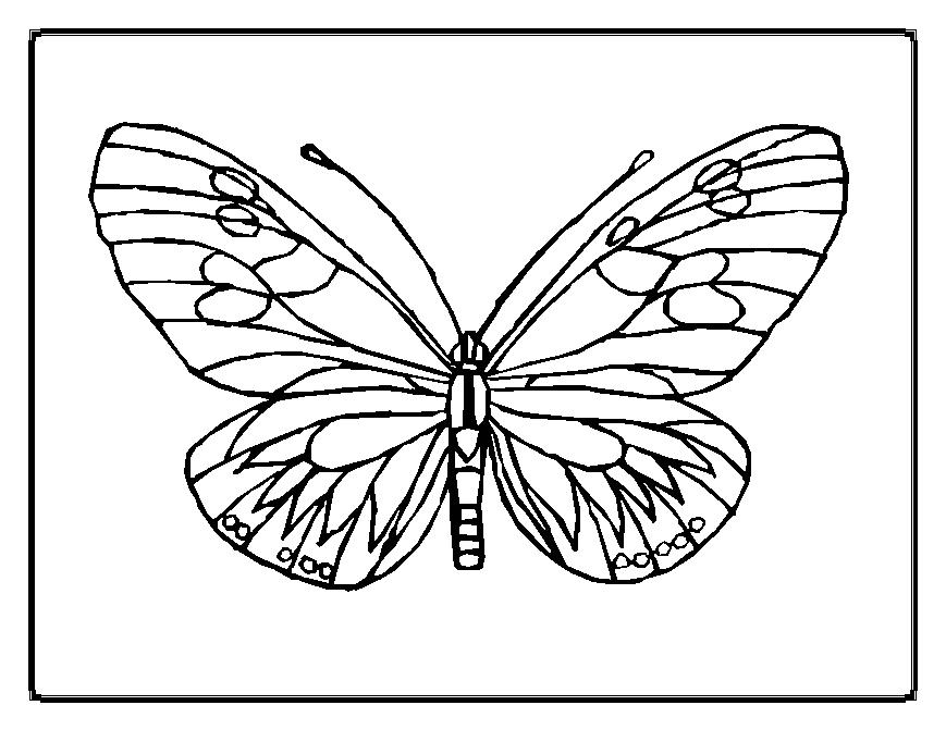 869x671 Butterfly Coloring Pages (11)
