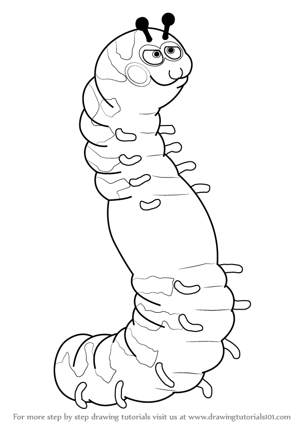 597x844 Drawing How To Draw Small Caterpillar With How To Draw