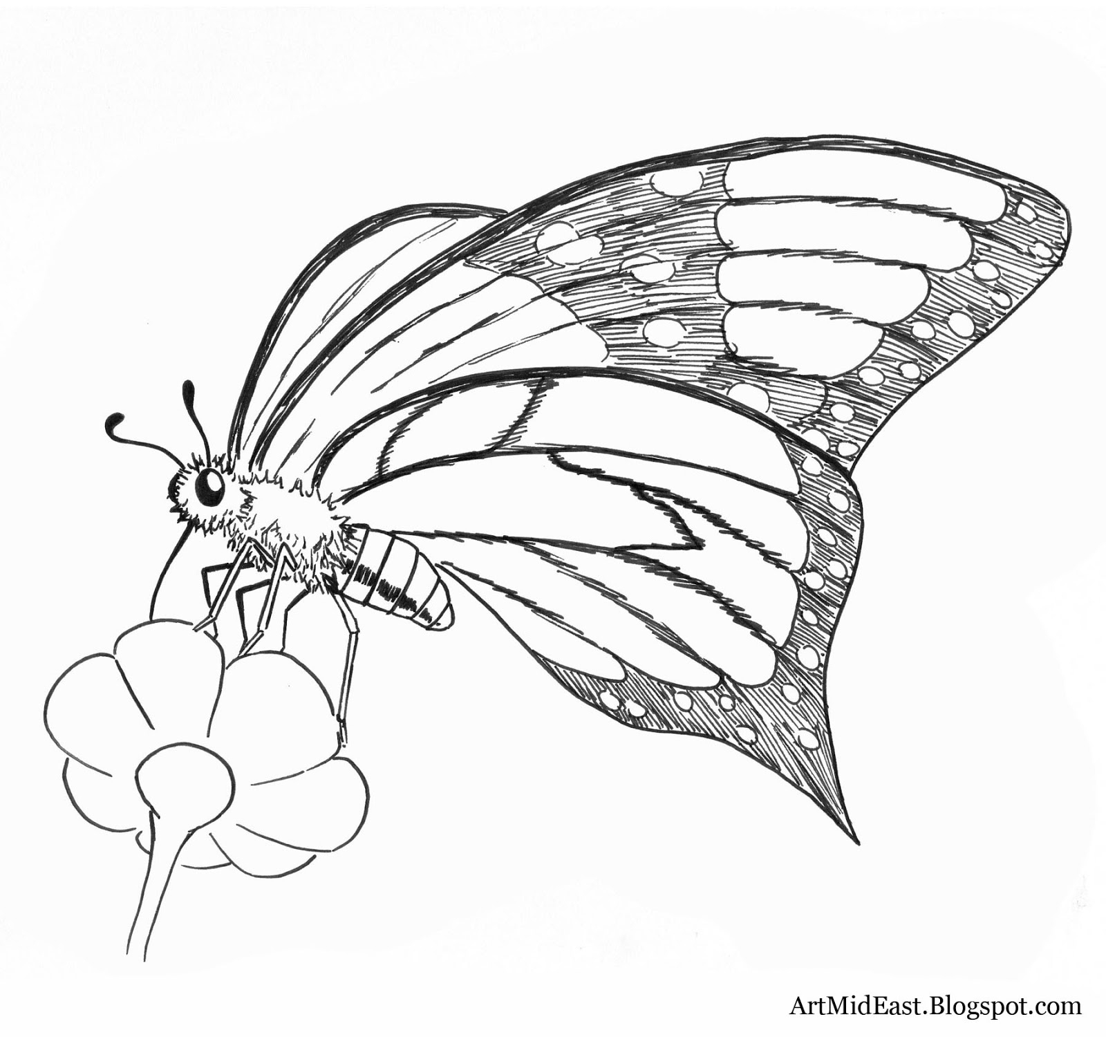 1600x1500 Drawing Of Butterfly Step By Step How To Draw A Butterfly Stepstep