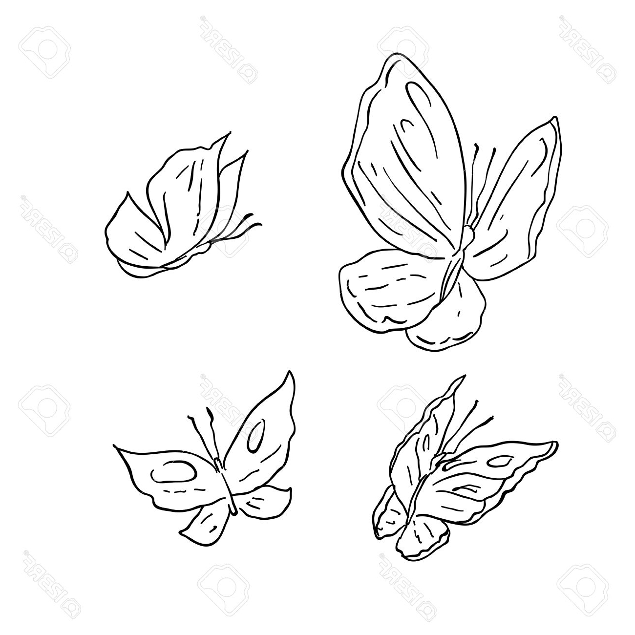 1300x1300 How To Draw A Cartoon Butterfly Step By Step Living Room Ideas