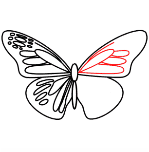 306x312 How To Draw A Butterfly Step By Step [Tutorial]